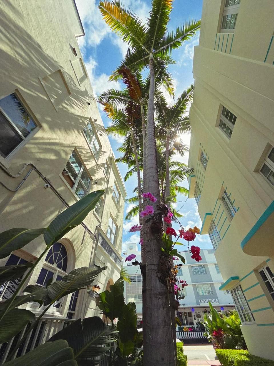 Luxuri Suites Miami Beach Zewnętrze zdjęcie